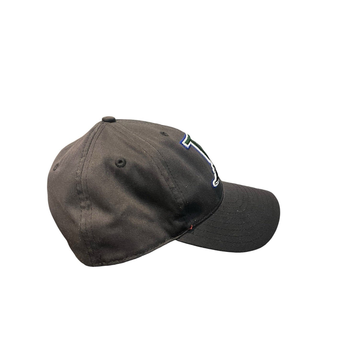 Vtg New Era Tampa Bay Devils Rays adult snapback hat