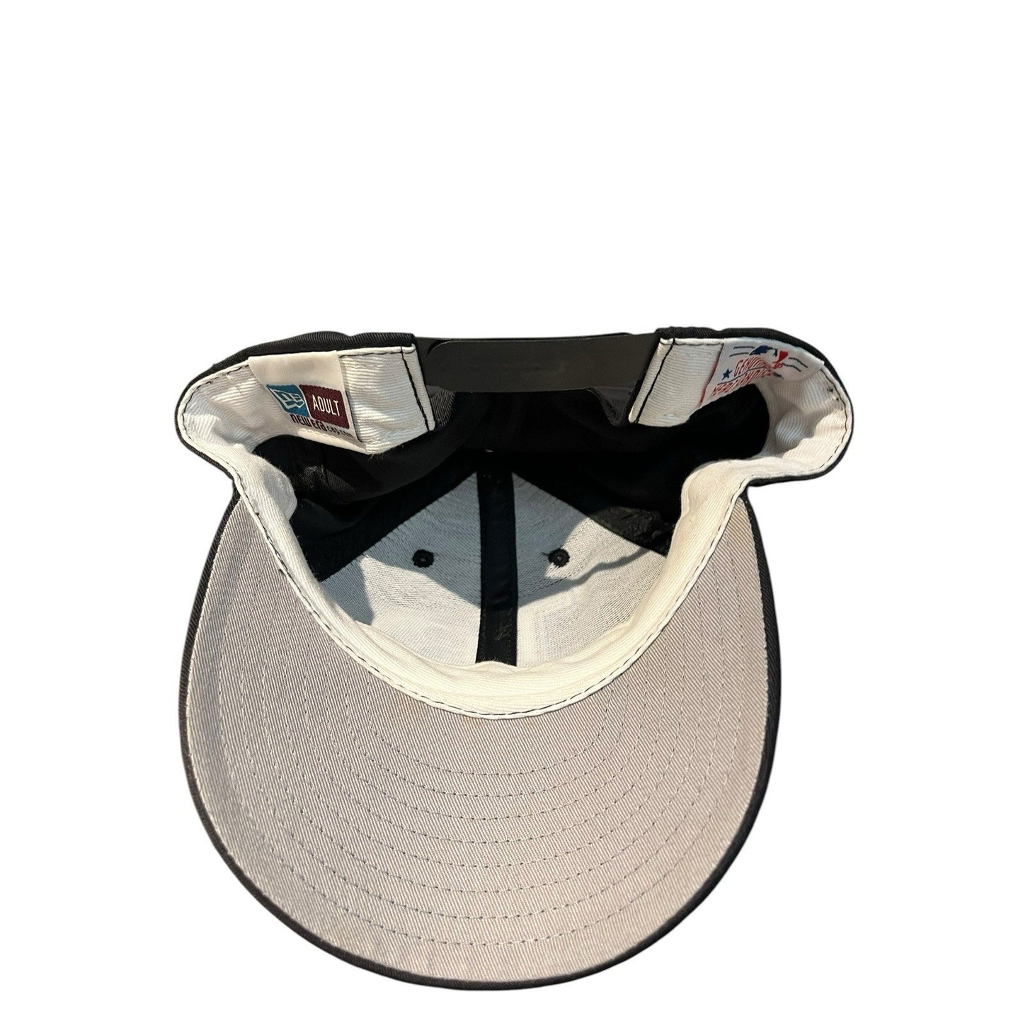 Vtg New Era Tampa Bay Devils Rays adult snapback hat